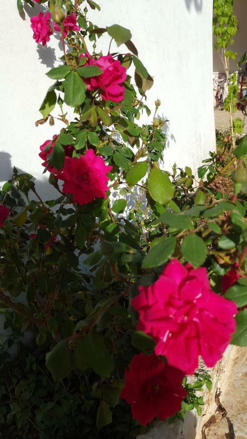 Giardini Di Lanzo Villa Мартина Франка Екстериор снимка